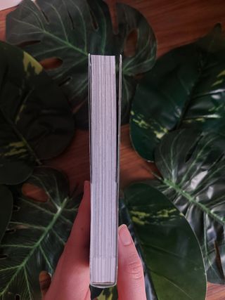 Manga paseos por el bosque