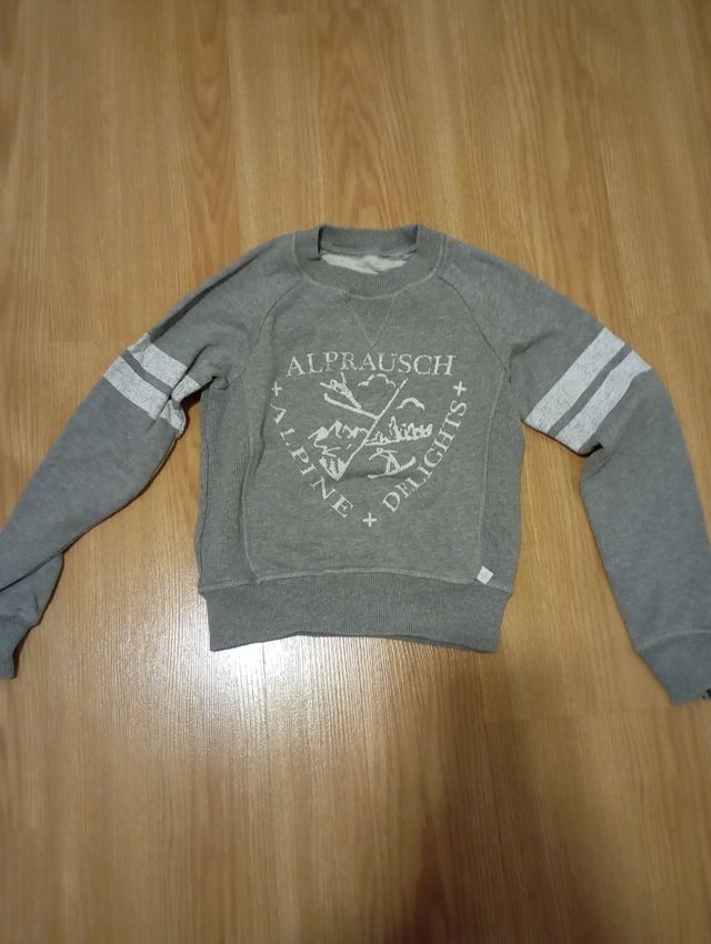 Sudadera niño gris Alprausch