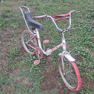 Bicicleta torrot