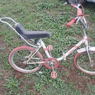 Bicicleta torrot