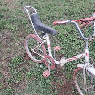 Bicicleta torrot