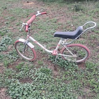 Bicicleta torrot