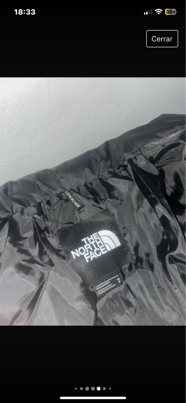 Puffer The North Face