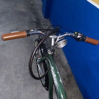 Bicicleta paseo