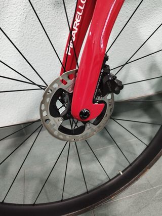 Cuadro de carbono talla 53