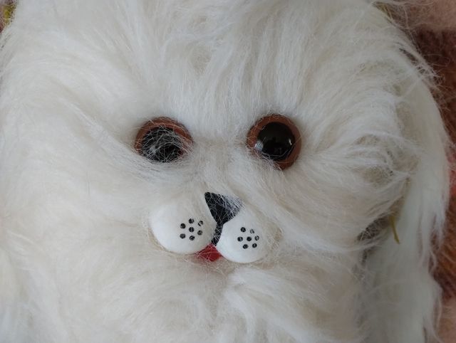 Micio -- Gatto -- Cat bianco peluche