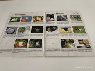 Album panini animales