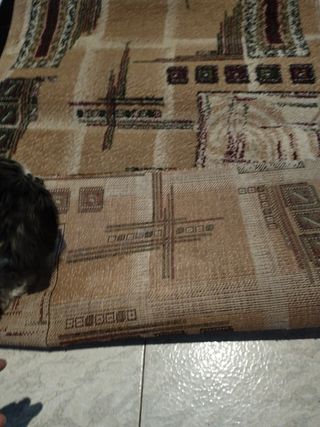 Alfombra pasillo