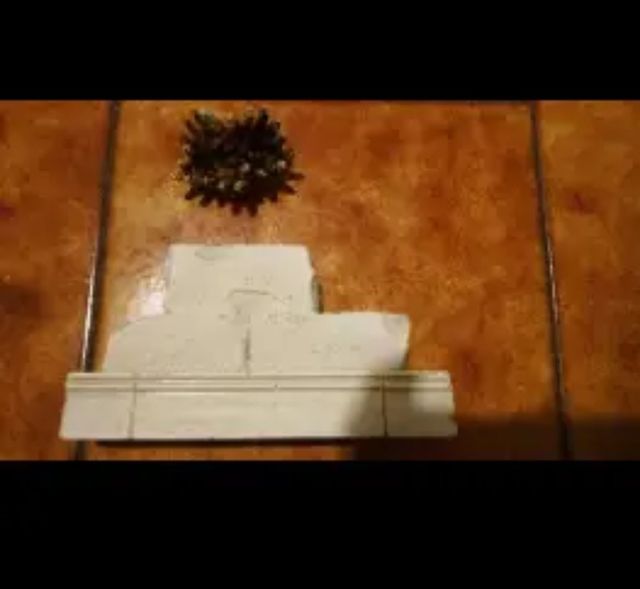 decorazione acquario