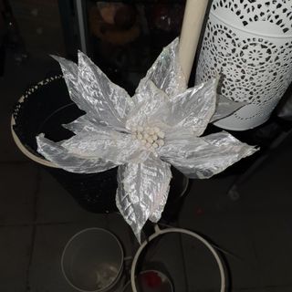 Grande stella di N. bianco