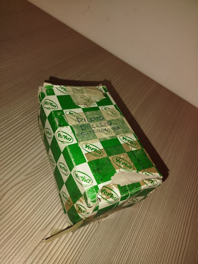 Piloto Izquierdo Citroen BX 