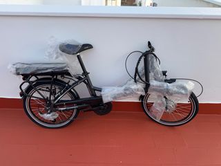 Bicicleta electrica F.lli Schiano