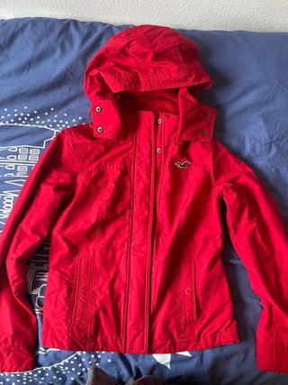 Chaqueta hollister