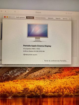 Monitor Apple Cinema Display 20”