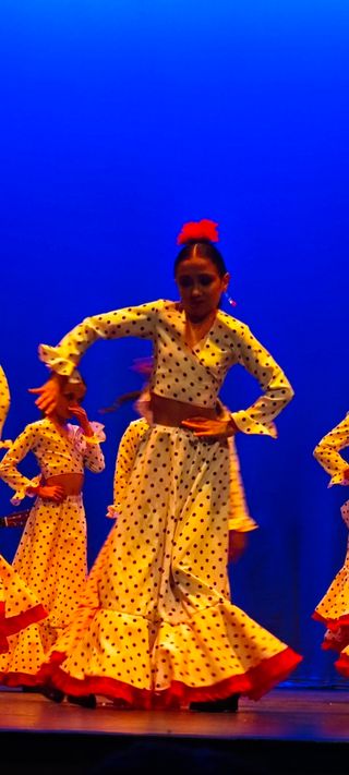Traje flamenca 