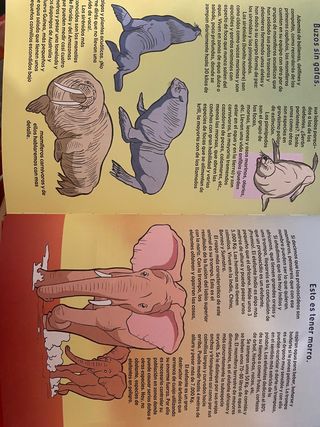 Libro infantil “El mundo de los animales”