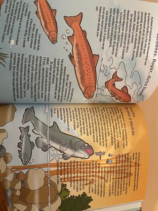 Libro infantil “El mundo de los animales”