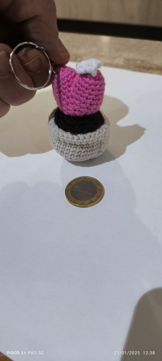 Portachiavi cactus ad uncinetto