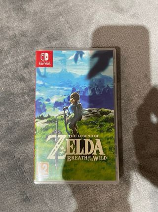 Nintendo Switch + Zelda