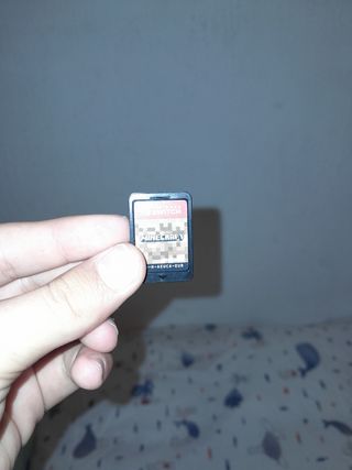 Minecraft
