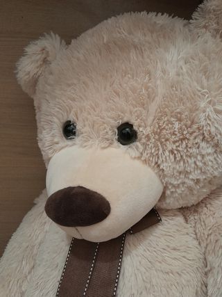 Peluche Orso Gigante