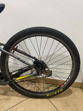 Ruedas maxxis bici