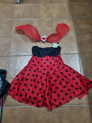 Disfraz mariquita-TENGO 2