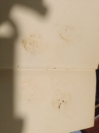 Libro la novela picaresca española