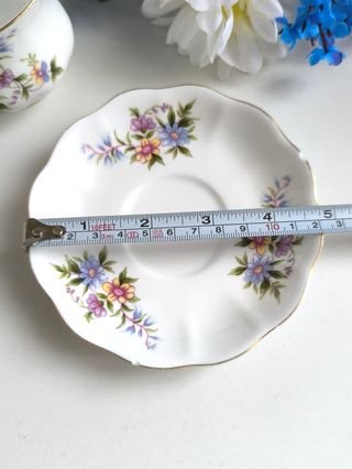 Preciosa taza de té y platillo porcelana