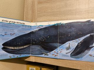 El gran libro de los grandes animales