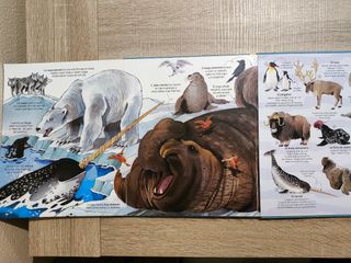 El gran libro de los grandes animales