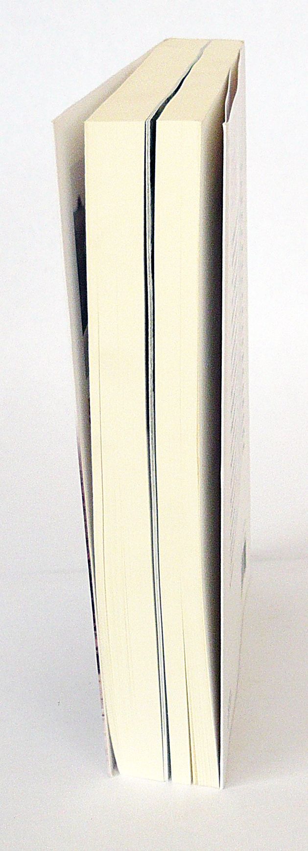 Ardenas 1944: LA ÚLTIMA APUESTA DE HITLER