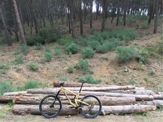 Santa Cruz Nomad 4 CC