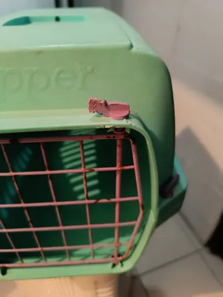 Transportín Perro o Gato