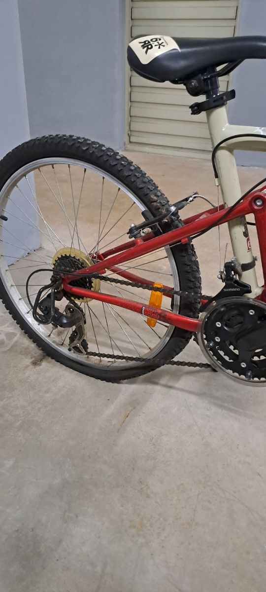 Bicicleta MTB junior