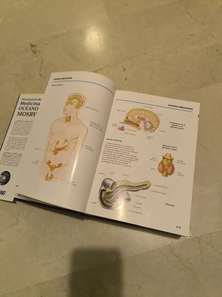 Diccionario de Medicina Mosby