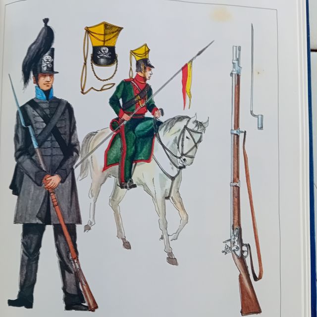 Libro delle uniformi europee in armi