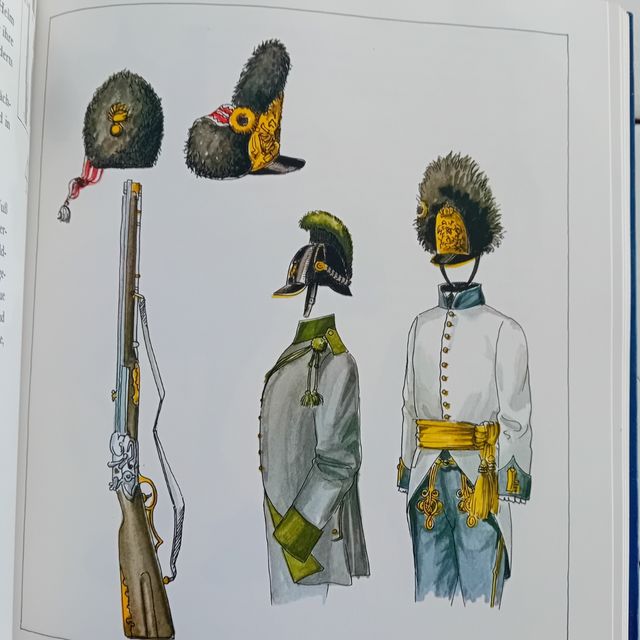 Libro delle uniformi europee in armi