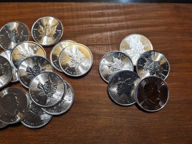 Lote Maple Leaf Canadá