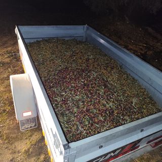 Serviciodelimpieza,campo,jardinería,huertos poda