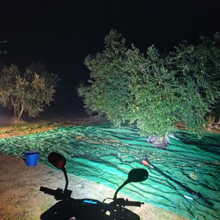 Serviciodelimpieza,campo,jardinería,huertos poda