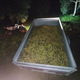 Serviciodelimpieza,campo,jardinería,huertos poda