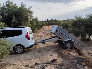 Serviciodelimpieza,campo,jardinería,huertos poda