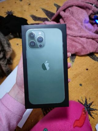 iPhone 13 Pro Max 