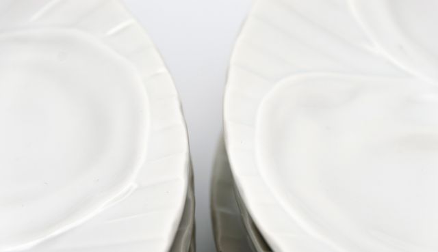 Set platos ostras porcelana francesa