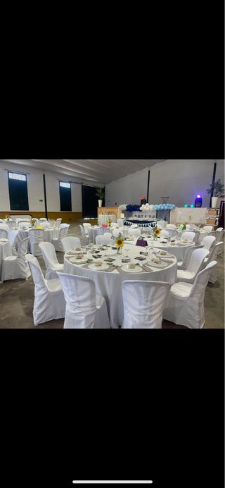 Sillas mesas hinchables plancha botelleros