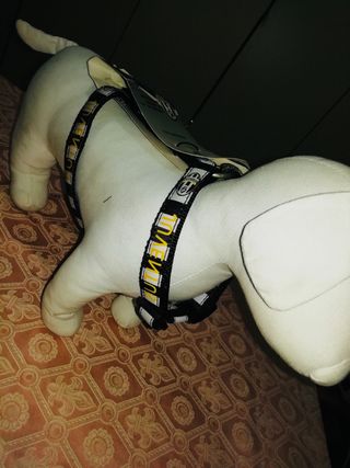 Pettorina juve x cani M