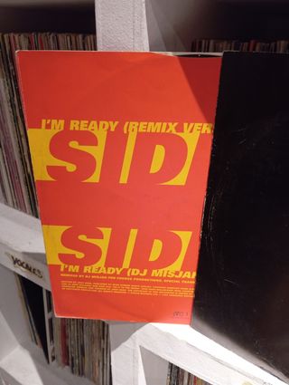 Disco vinilo dj Josh wink ready remember