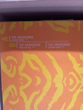 Disco vinilo dj york awakening remember