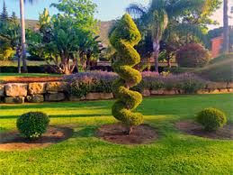 Mantenimiento de jardinería y  fontanería